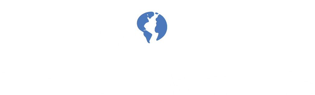 VDI Networks Logo blue globe